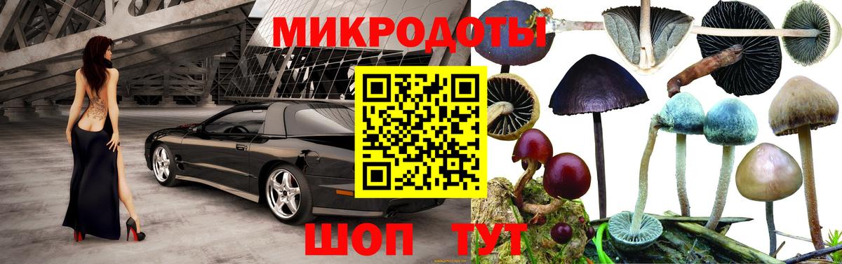 Галлюциногенные грибы прущие грибы Александров