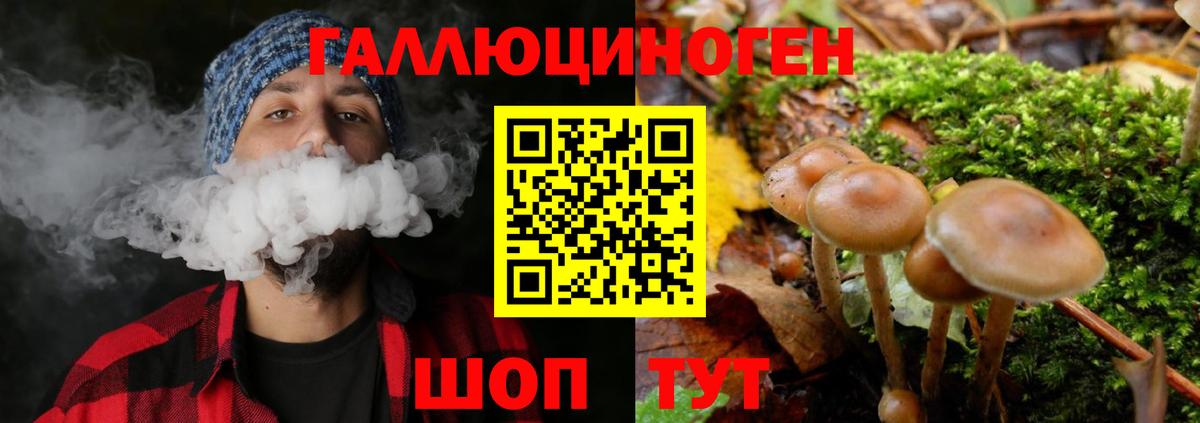 Галлюциногенные грибы Psilocybe  Вход с VPN  Александров 