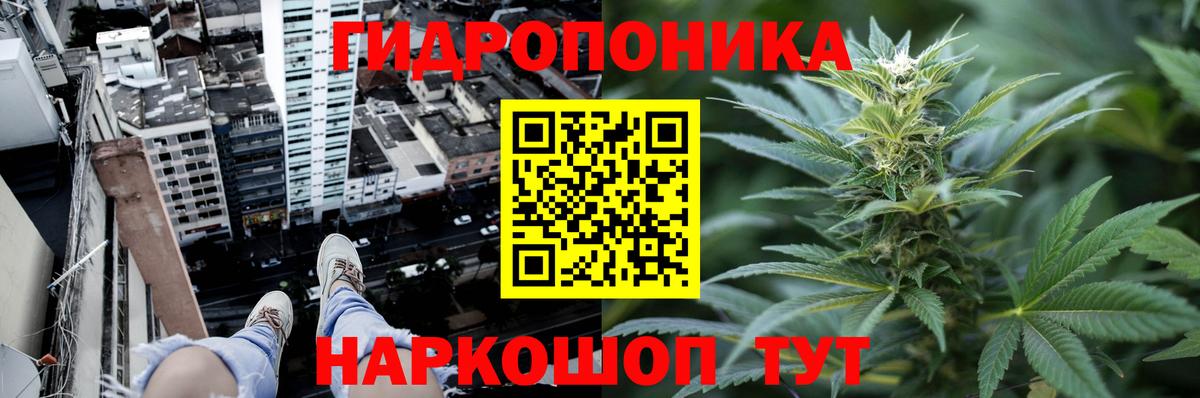 Бошки Шишки MAZAR  Бошки марихуана Amnesia  МАРИХУАНА White Widow  Александров  Бошки марихуана VHQ  Вход с VPN 